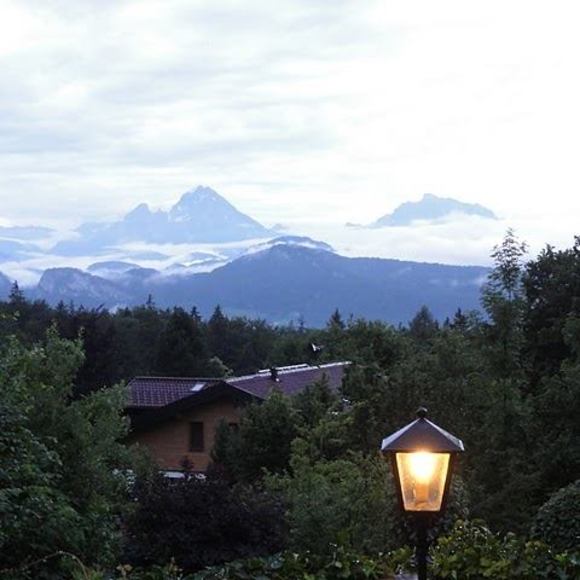 Meet your Posher, Susan - Picture 1 of 1